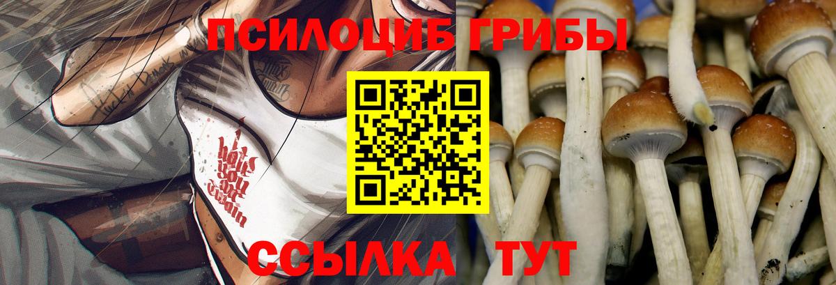 Галлюциногенные грибы Magic Shrooms Серпухов